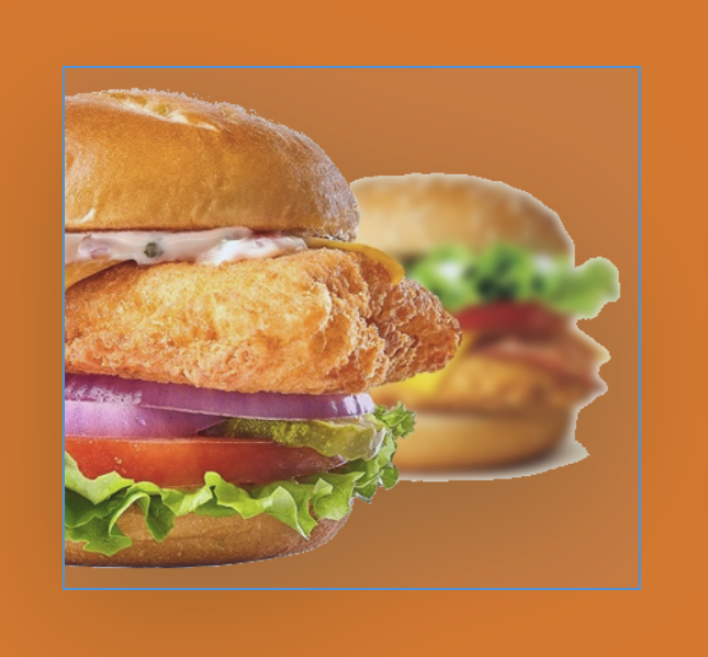 DOUBLE CHICKEN BURGER